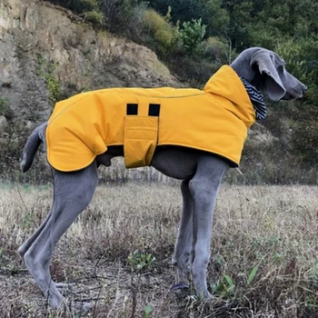 Köpek Yüksek Yaka Giyim Sonbahar Ve Kış Kalınlaşmış Sıcaklık Yalıtım Ma Ince Köpek Anti Feng Shui Şarj pamuklu ceket